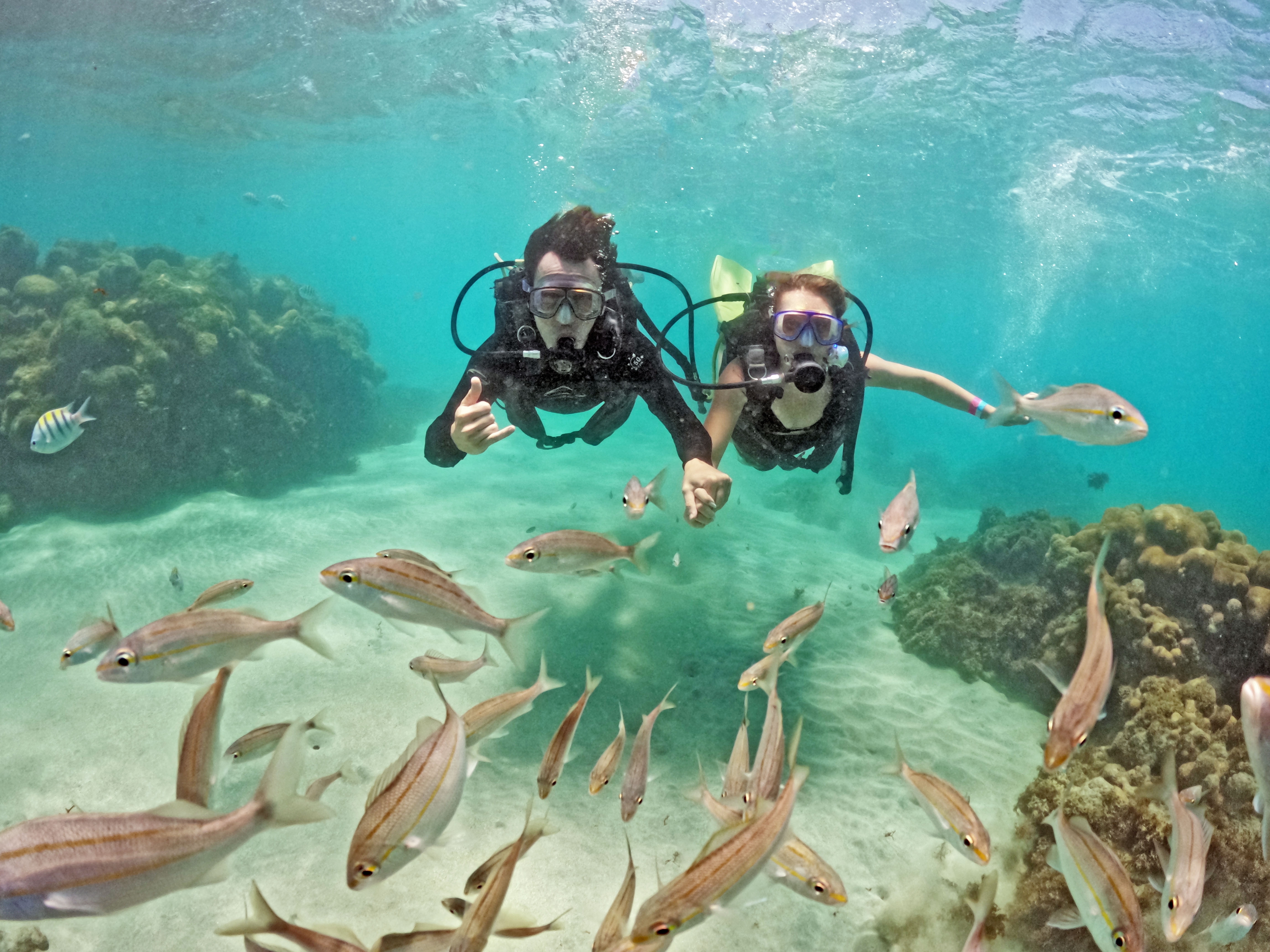 PADI Open Water Diver Course