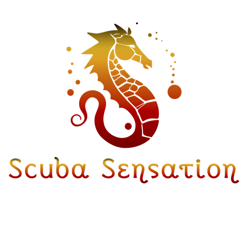 Scuba Sensation